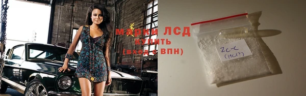 стаф Козловка