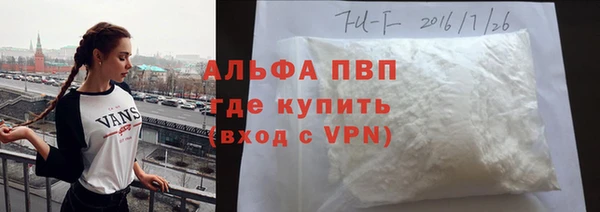 стаф Козловка