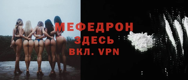 стаф Козловка