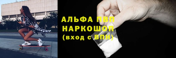 стаф Козловка