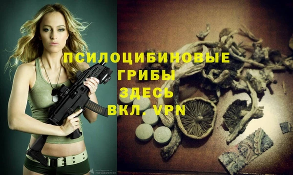 стаф Козловка