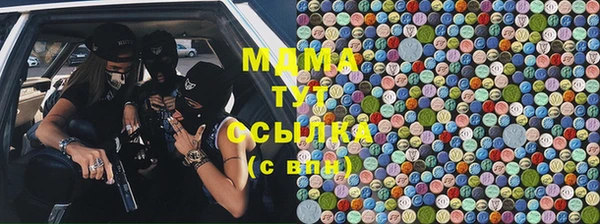 стаф Козловка