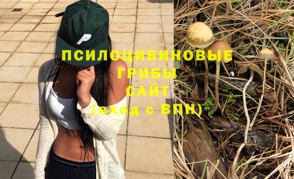 герыч Кодинск