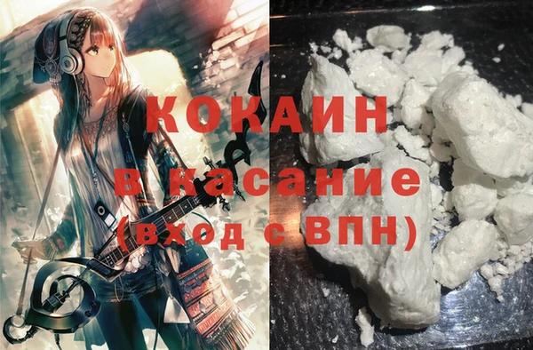 стаф Козловка
