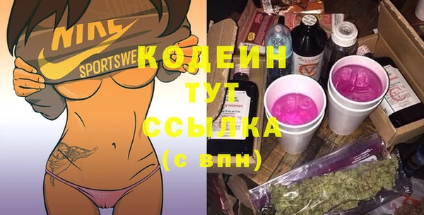 стаф Козловка