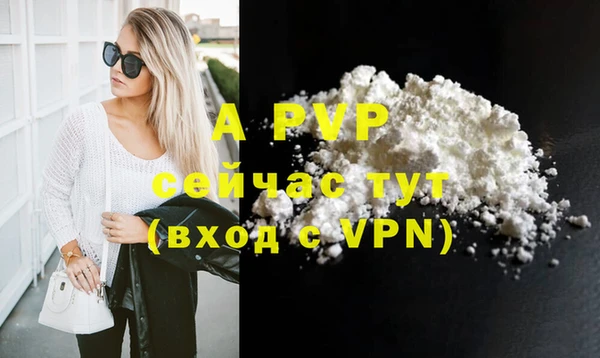 стаф Козловка