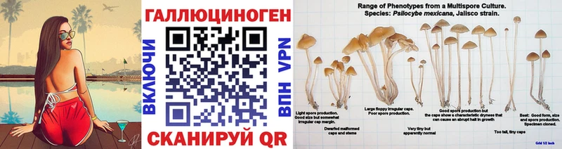 Купить закладки  Балей  Галлюциногенные грибы Cubensis 