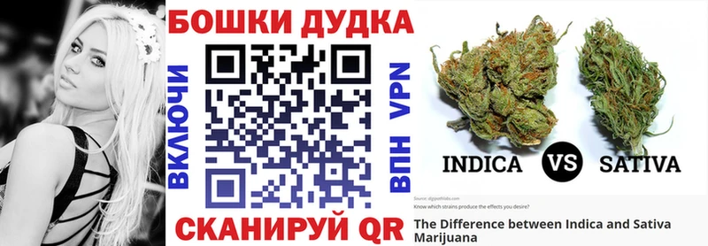 Канабис индика  Купить закладки  Балей 